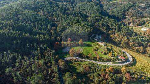 Quinta T0 para venda