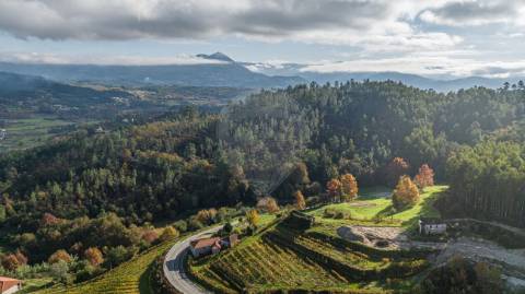 Quinta T0 para venda