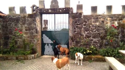 Quinta T5 para venda