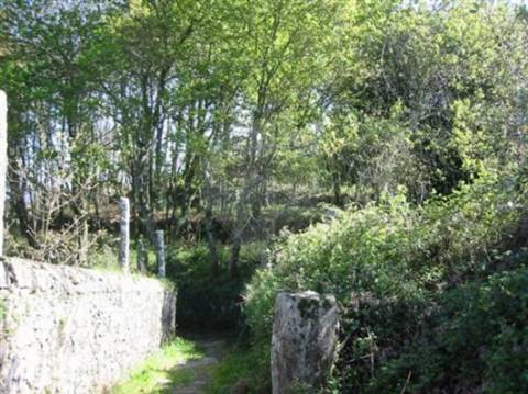 Terreno T0 para venda