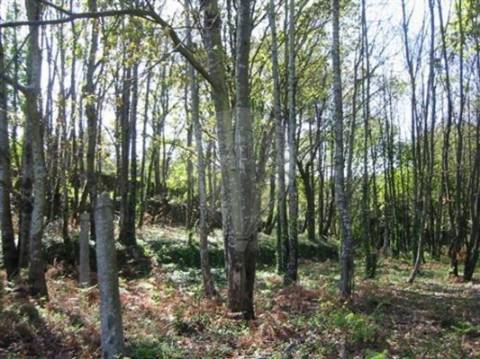 Terreno T0 para venda