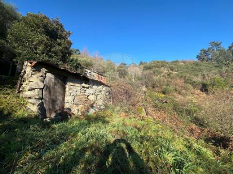 Moradia T3 para venda