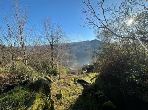 Moradia T3 para venda