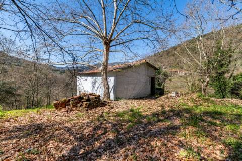 Moradia T0 para venda