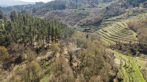 Moradia T0 para venda