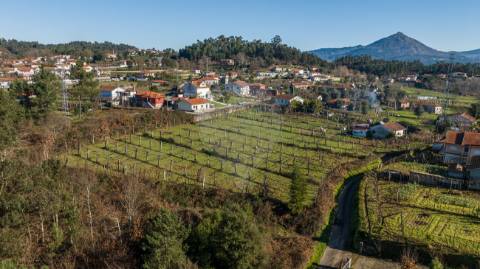 Quinta T4 para venda