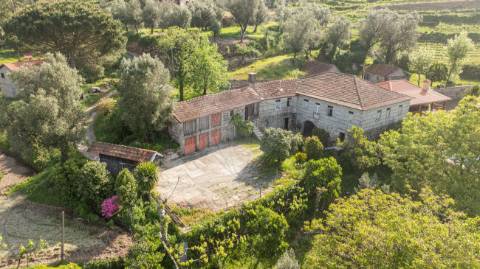 Quinta T10 para venda