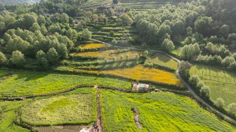 Quinta T10 para venda