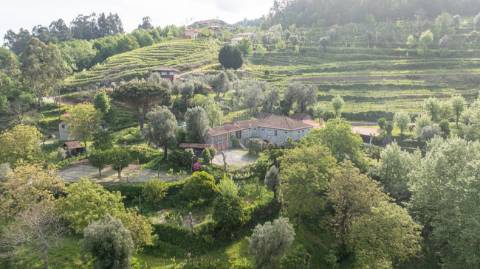 Quinta T10 para venda