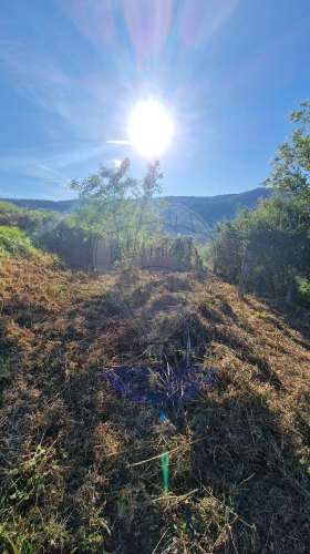 Moradia T1 para venda