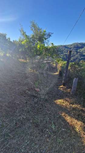 Moradia T1 para venda