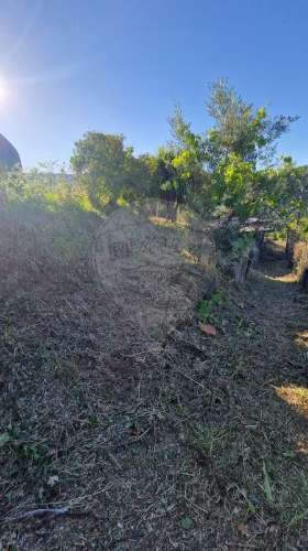 Moradia T1 para venda