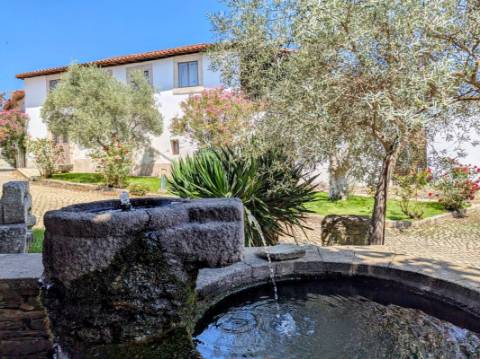 Quinta T12 para venda