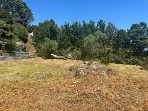 Moradia T3 para venda