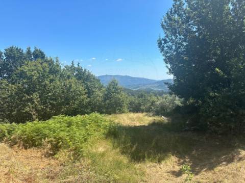 Moradia T3 para venda