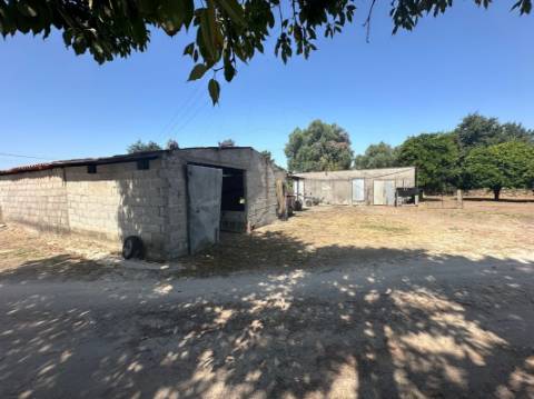 Quinta T3 para venda