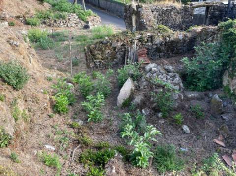 Moradia T3 para venda