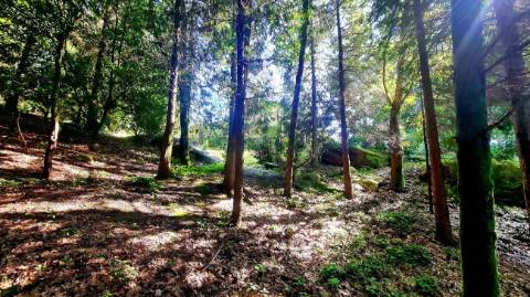 Moradia T5 para venda