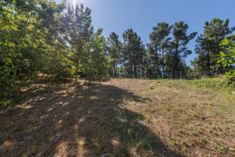 Moradia T3 para venda