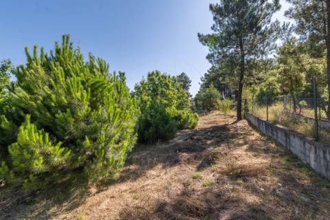 Moradia T3 para venda