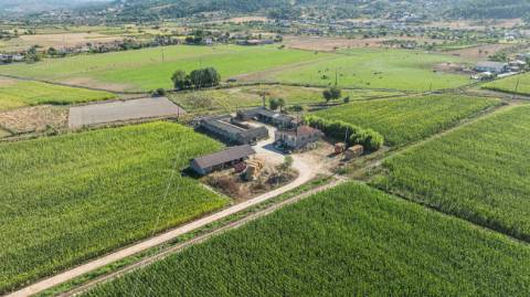 Quinta T4 para venda