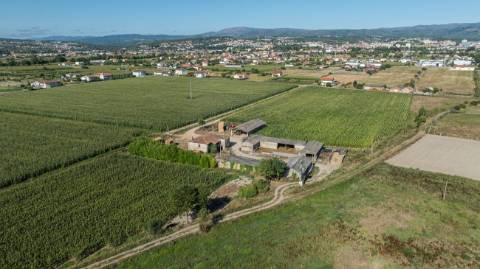 Quinta T4 para venda