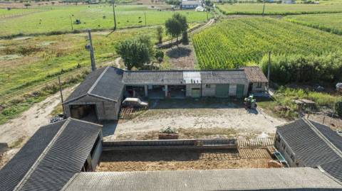 Quinta T4 para venda