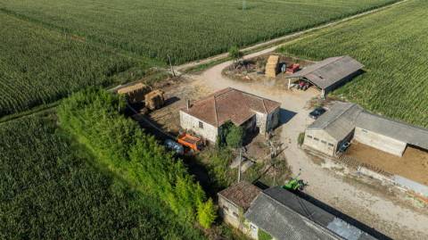 Quinta T4 para venda