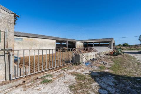 Quinta T4 para venda