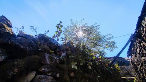 Moradia T2 para venda