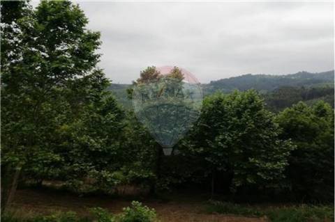 Terreno T0 para venda