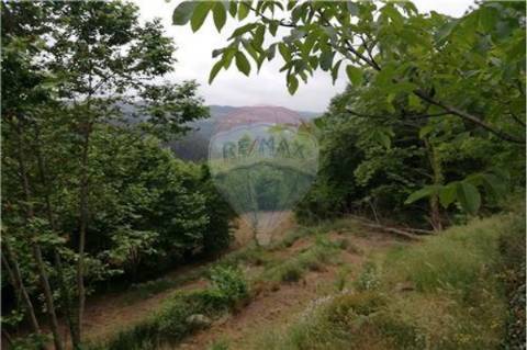 Terreno T0 para venda