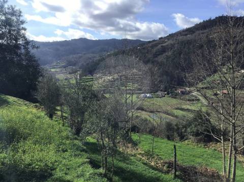 Moradia T0 para venda