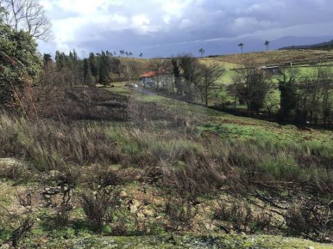 Terreno  para venda