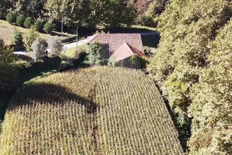 Moradia T0 para venda