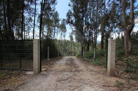 Quinta T2 para venda