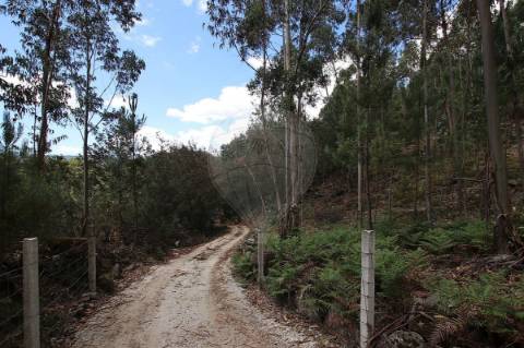 Quinta T2 para venda