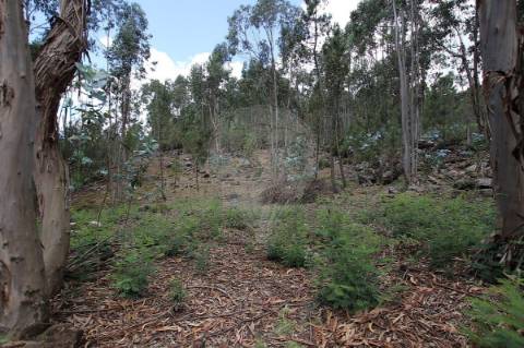 Quinta T2 para venda