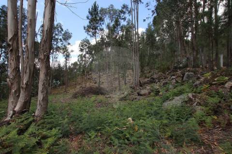 Quinta T2 para venda