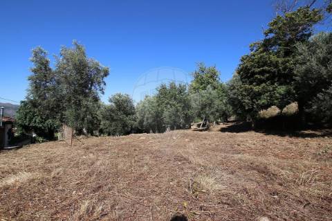 Moradia T3 para venda