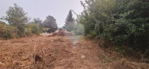 Moradia T0 para venda