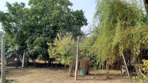 Moradia T4 para venda