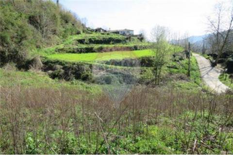 Moradia T0 para venda