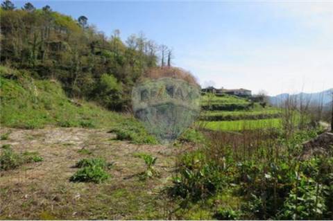 Moradia T0 para venda