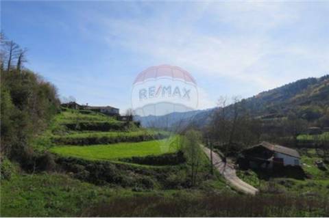 Moradia T0 para venda