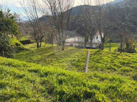 Moradia T3 para venda