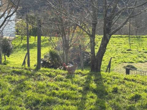 Moradia T3 para venda