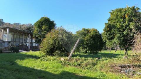 Moradia T4 para venda