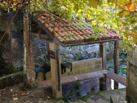 Moradia T1 para venda