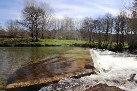 Moradia T4 para venda